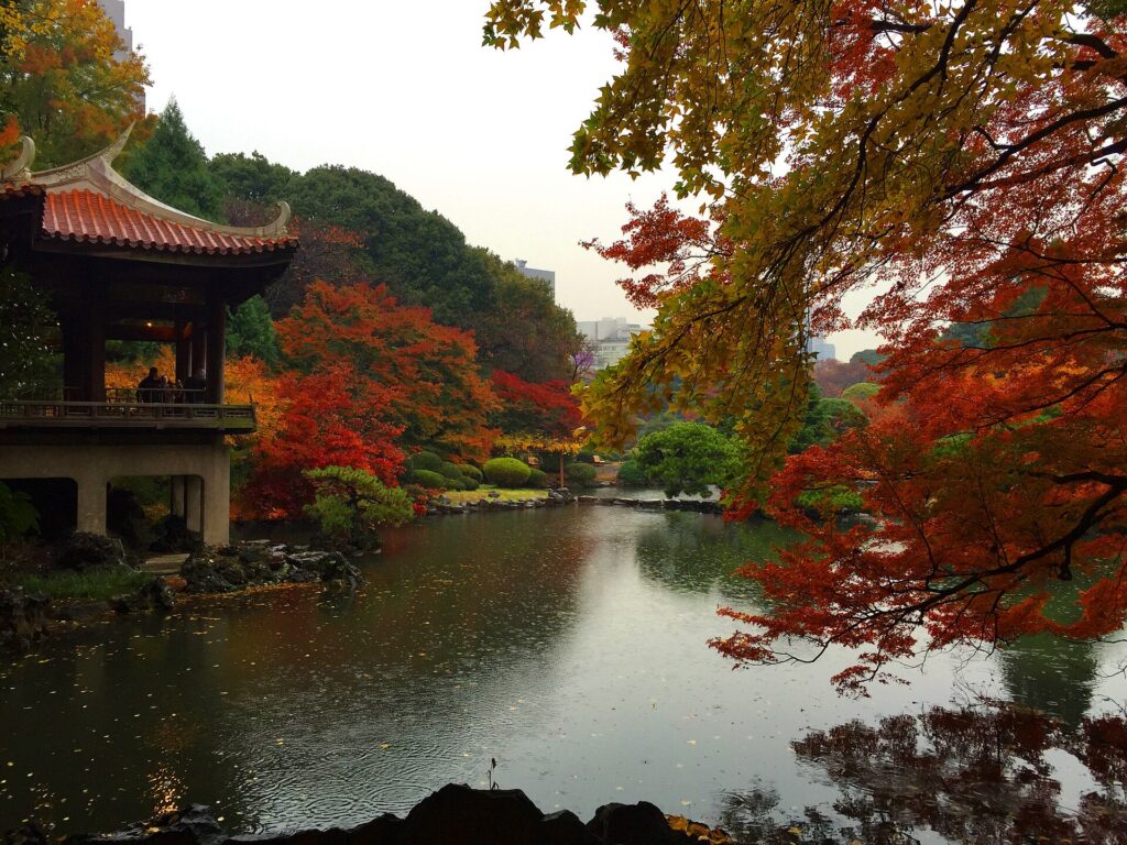 สวนชินจูกุเกียวเอ็นในโตเกียวกับใบไม้สีแดงและส้มช่วงฤดูใบไม้ร่วง