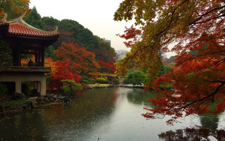 สวนชินจูกุเกียวเอ็นในโตเกียวกับใบไม้สีแดงและส้มช่วงฤดูใบไม้ร่วง