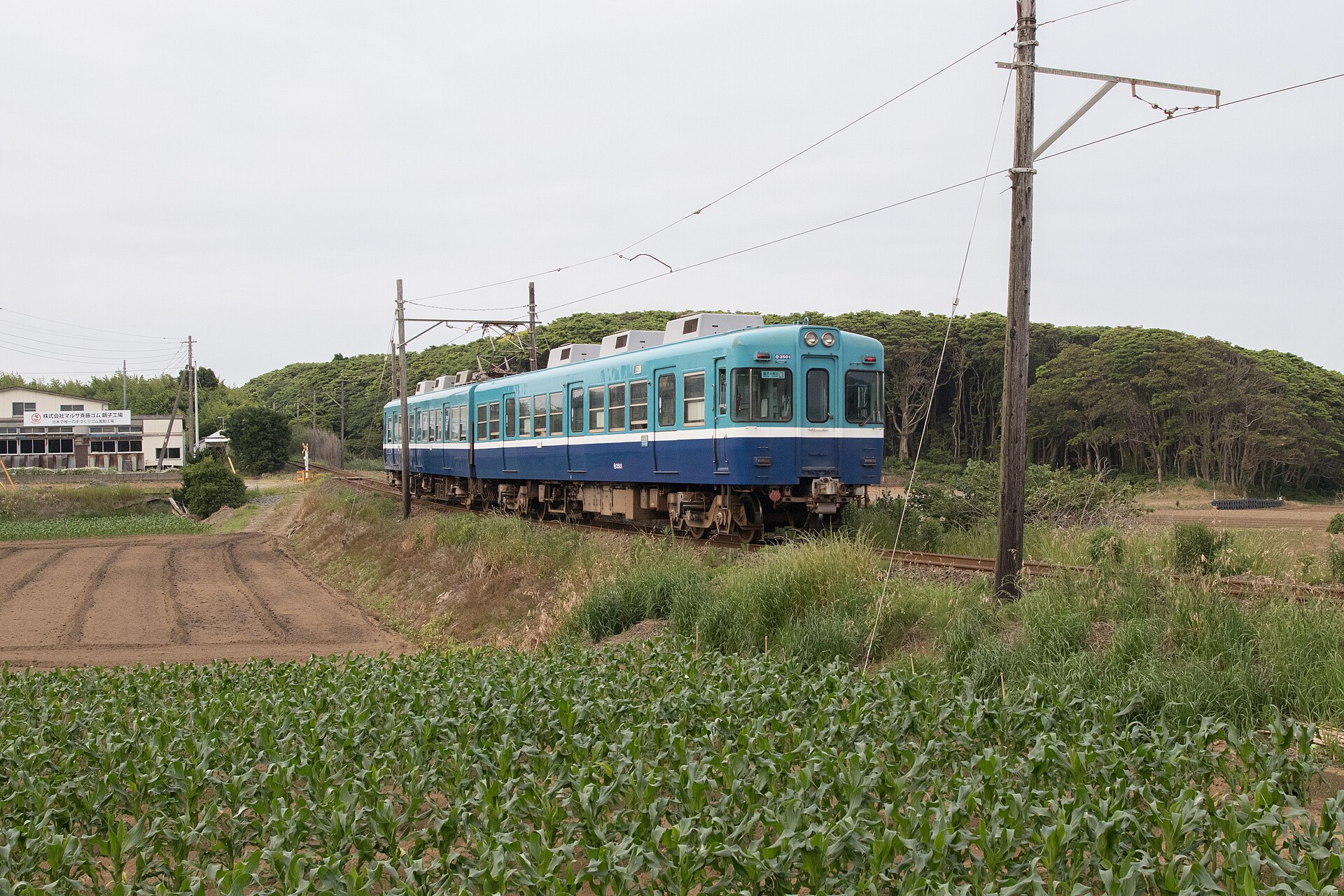 รถไฟสีน้ำเงินของ Choshi Electric Railway วิ่งผ่านพื้นที่ชนบทในจังหวัดชิบะ