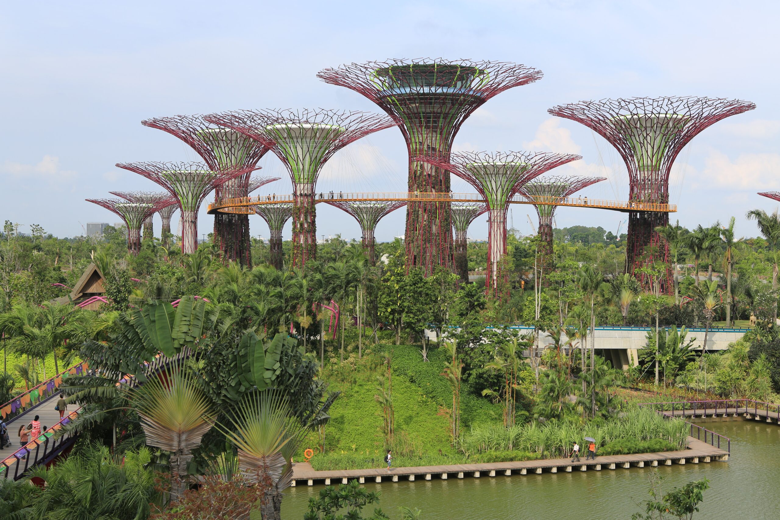 กลุ่มซูเปอร์ทรีท่ามกลางสวนสีเขียวที่ Gardens by the Bay สิงคโปร์