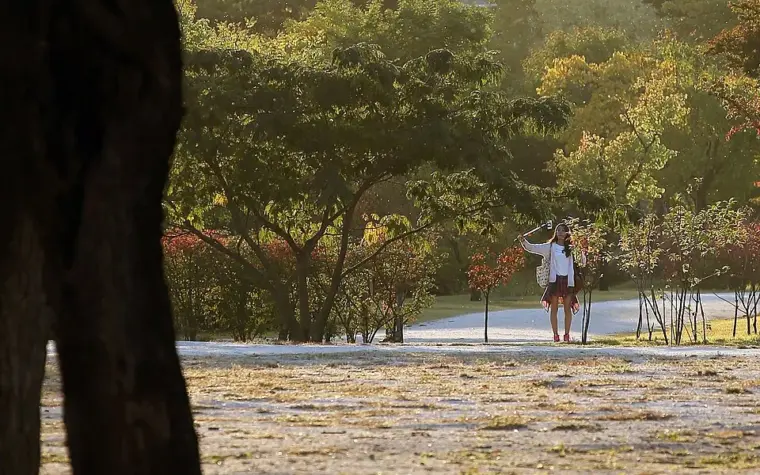 สวนร่มรื่นในกรุงโซล ประเทศเกาหลีใต้