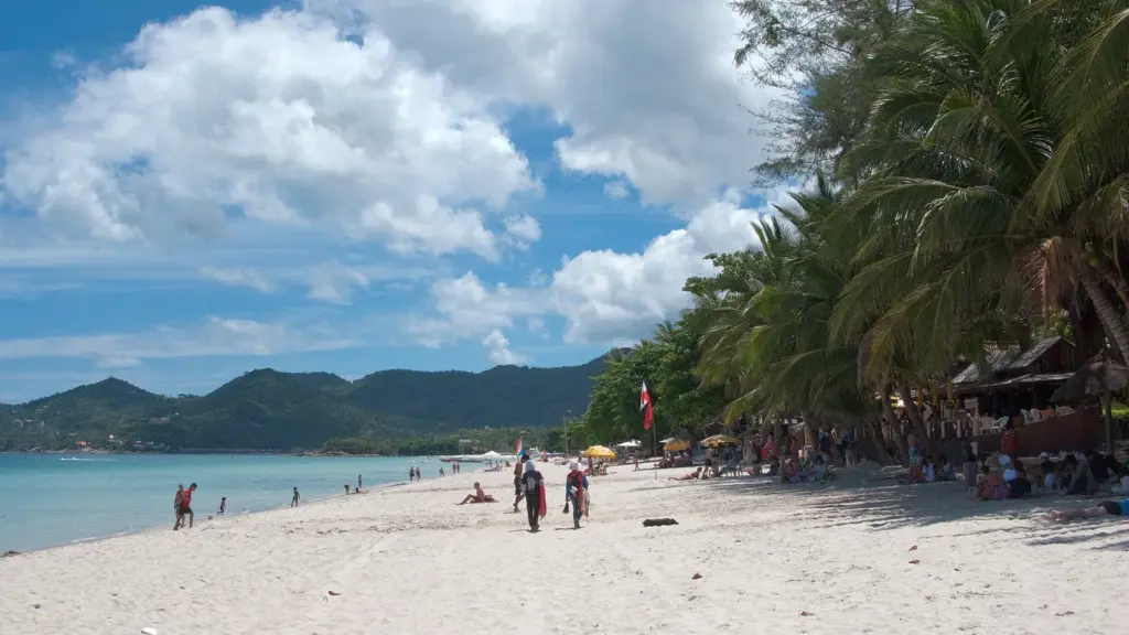 ชายหาดทรายขาว แนวต้นมะพร้าว และทะเลสีฟ้าบนเกาะสมุย