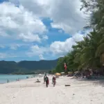 ชายหาดทรายขาว แนวต้นมะพร้าว และทะเลสีฟ้าบนเกาะสมุย