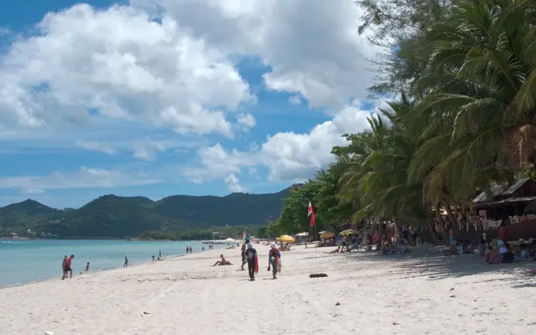 ชายหาดทรายขาว แนวต้นมะพร้าว และทะเลสีฟ้าบนเกาะสมุย
