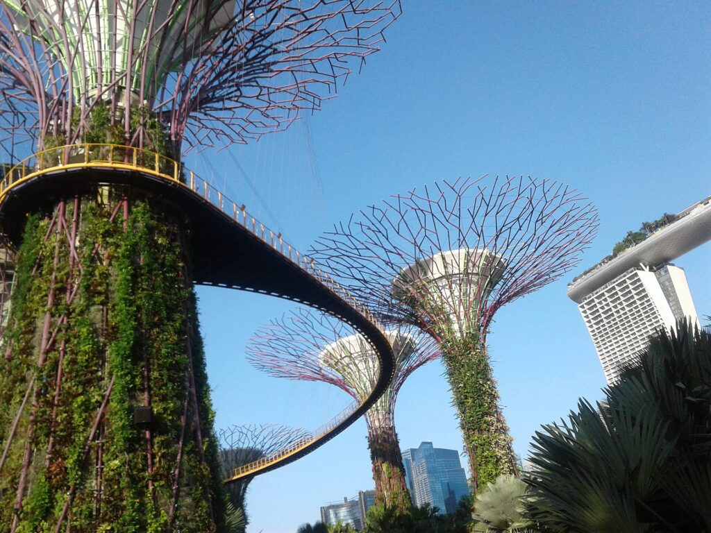 ซูเปอร์ทรีและทางเดินลอยฟ้าท่ามกลางสวนที่ Gardens by the Bay สิงคโปร์