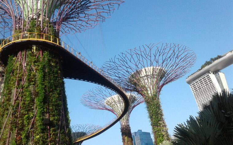 ซูเปอร์ทรีและทางเดินลอยฟ้าท่ามกลางสวนที่ Gardens by the Bay สิงคโปร์