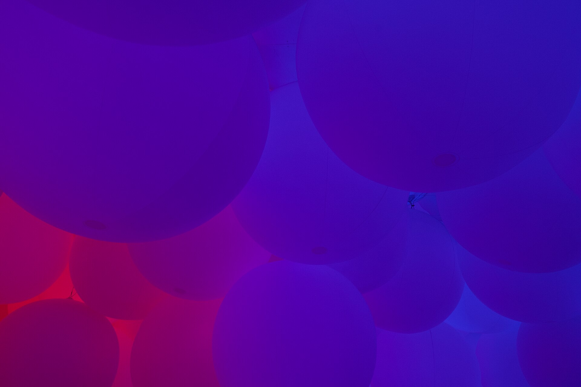 ลูกทรงกลมขนาดใหญ่ในห้องแสงสีม่วงและน้ำเงินภายใน teamLab Planets โตเกียว