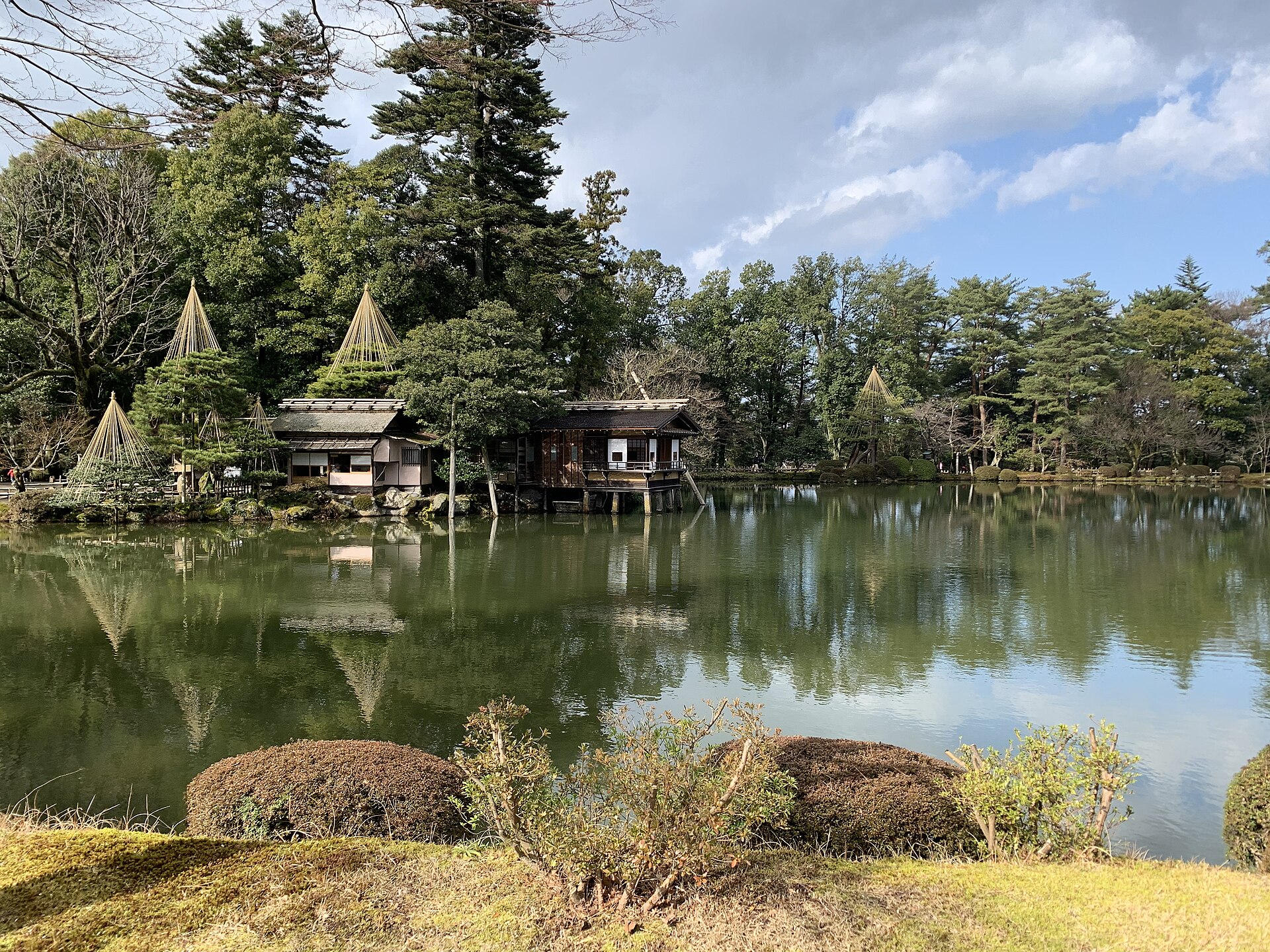 สระคาสุมิกะอิเคะ เรือนชา และต้นสนที่ผูกเชือก yukitsuri ในสวนเค็นโรคุเอ็น
