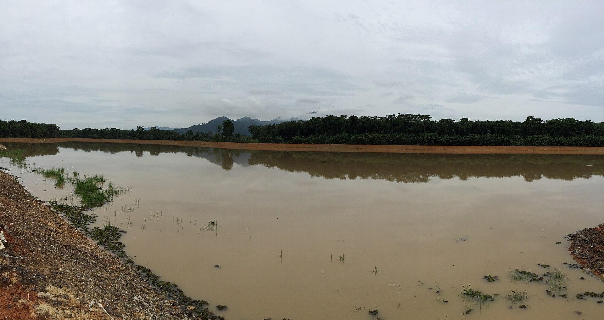 ป่านราธิวาส