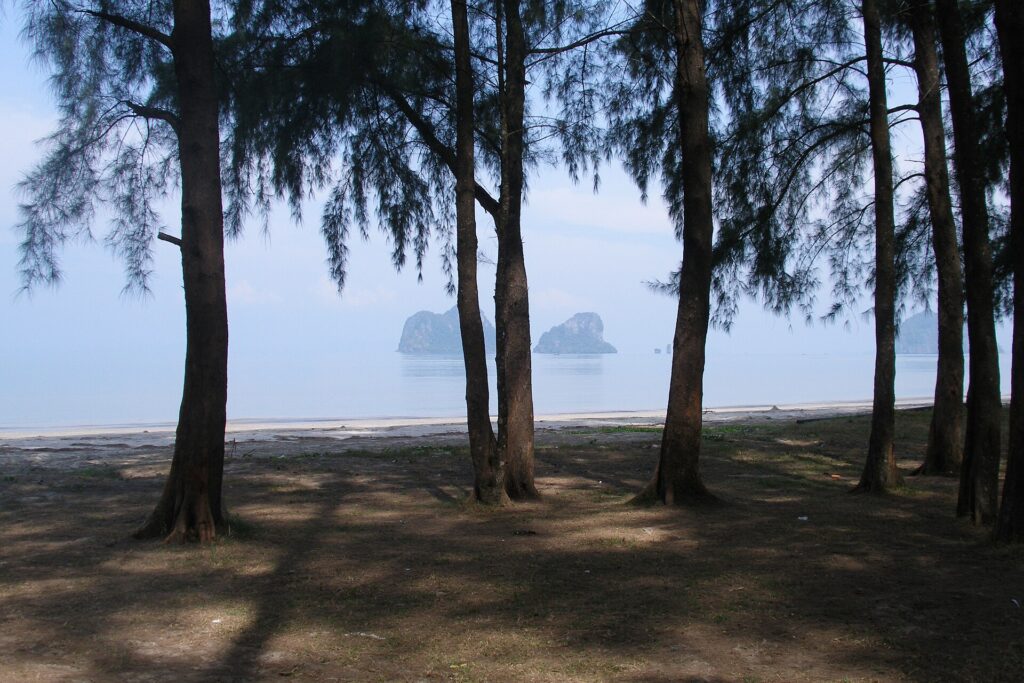 ทะเลตรัง