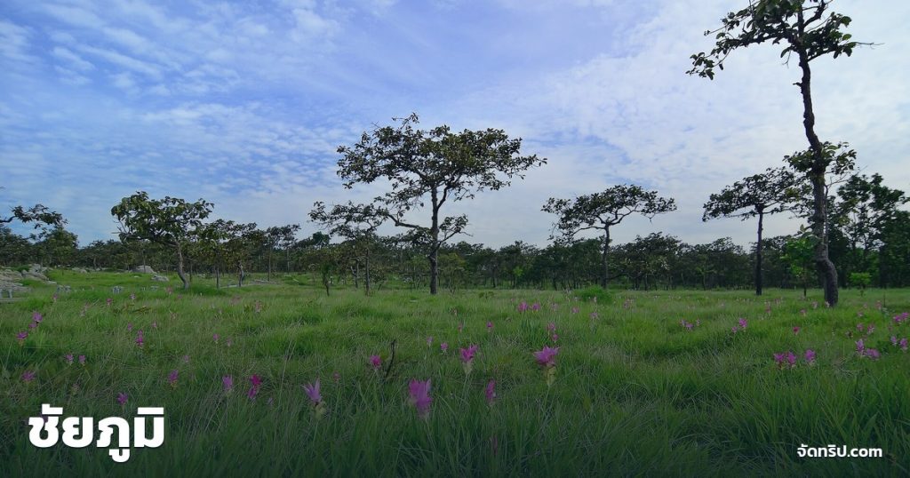 ชัยภูมิ — ภาพปกจัดทริป.com
