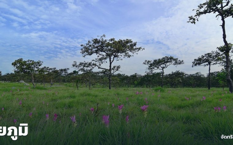 ชัยภูมิ — ภาพปกจัดทริป.com